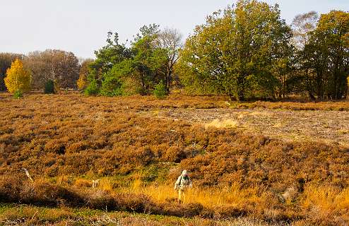 Noetselerberg, Salland