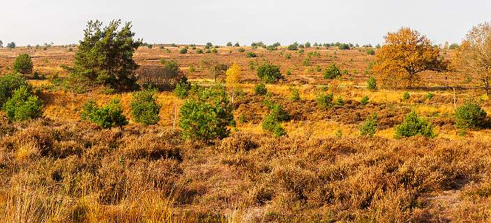 Noetselerberg, Salland