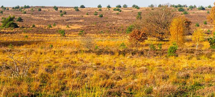 Noetselerberg, Salland