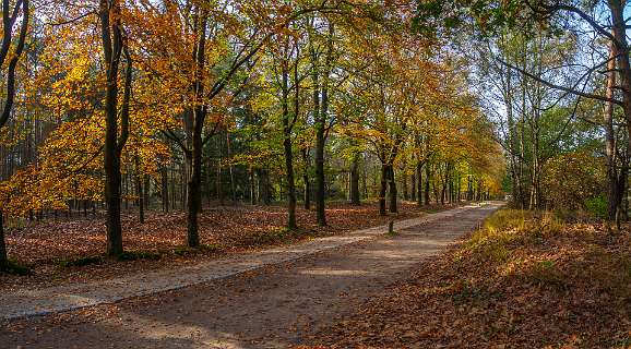 Noetselerberg, Salland