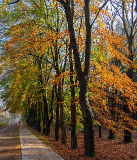 Noetselerberg, Salland
