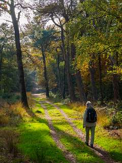 Noetselerberg, Salland