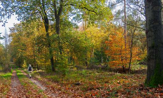 Noetselerberg, Salland