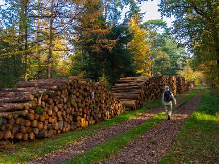 Noetselerberg, Salland