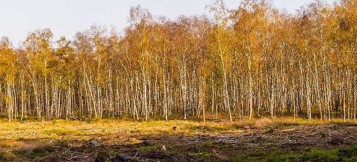 Noetselerberg, Salland