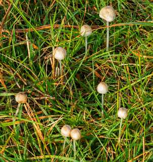 Noetselerberg, Salland