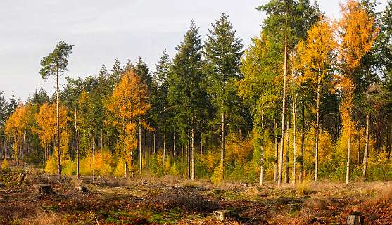 Noetselerberg, Salland