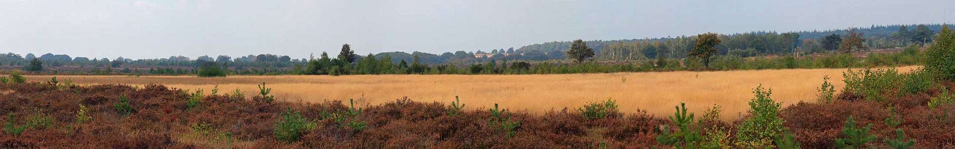 Klik om de knoppen te tonen of te verbergen