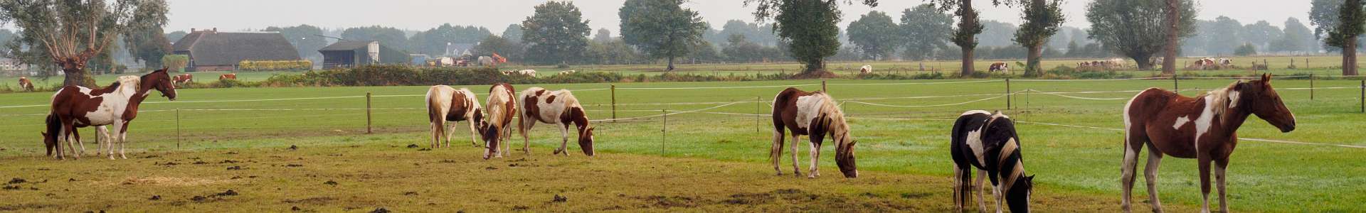 Klik om de knoppen te tonen of te verbergen