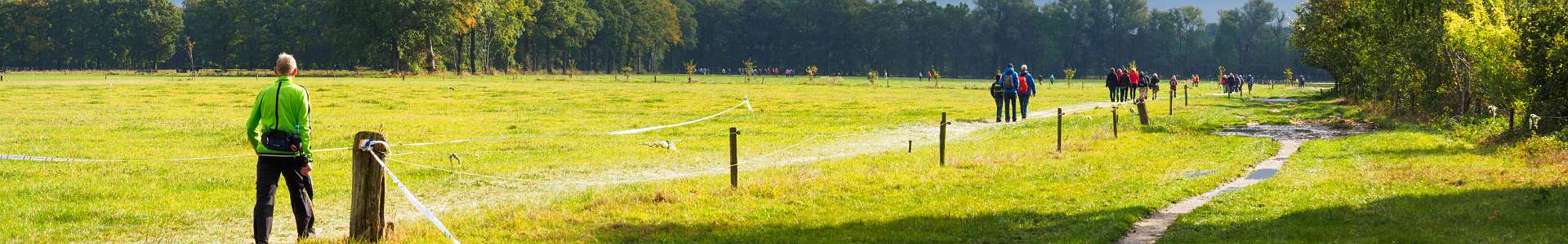 Klik om de knoppen te tonen of te verbergen