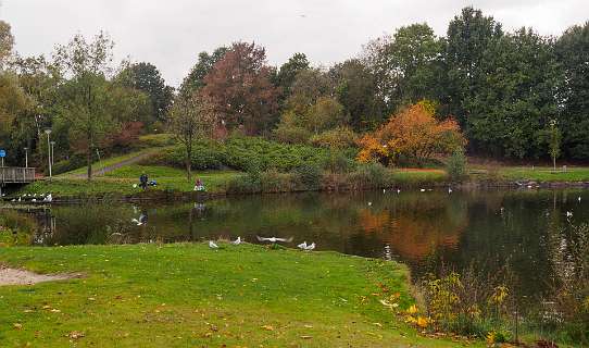 Park Drostenkamp in Raalte
