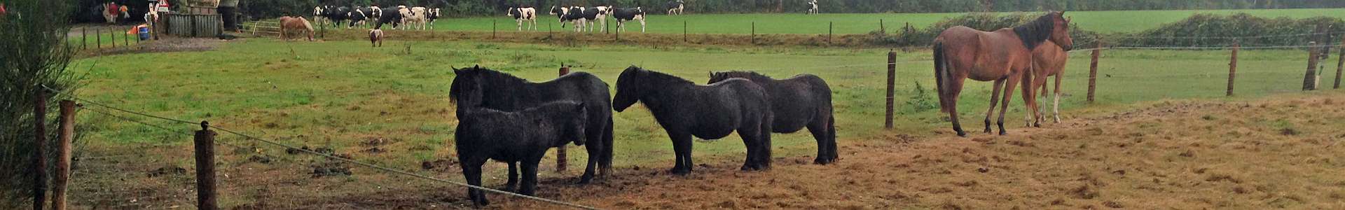 Klik om de knoppen te tonen of te verbergen