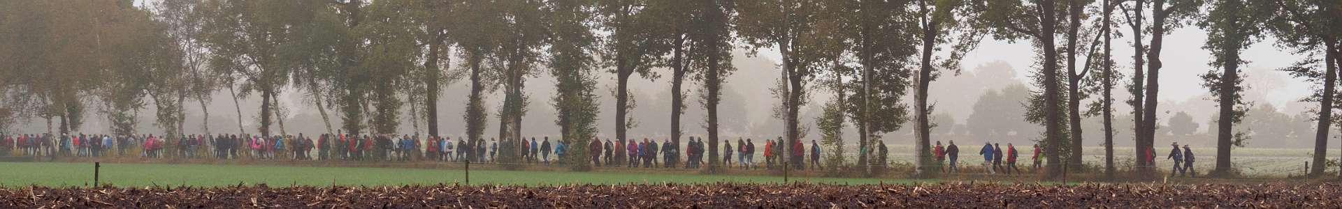 Klik om de knoppen te tonen of te verbergen