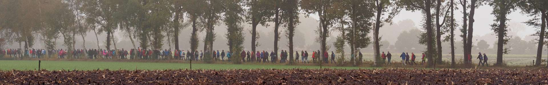 Klik om de knoppen te tonen of te verbergen