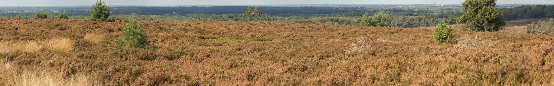 Klik om de knoppen te tonen of te verbergen