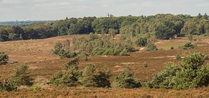 In de verte weer de Palthetoren