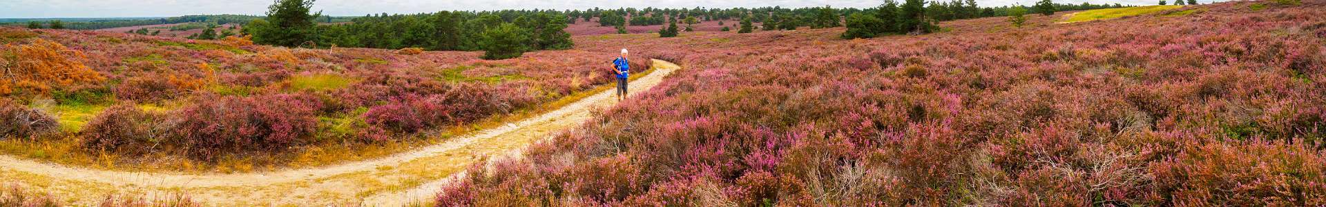 Klik om de knoppen te tonen of te verbergen