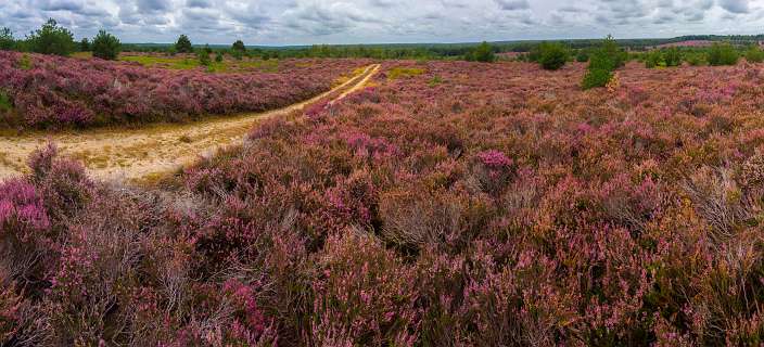 360° graden panorama vanaf de Sprengenberg