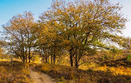 Herfst-wandeling bij de Noetselenberg