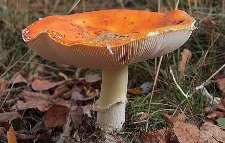 Landgoed Noetselenberg