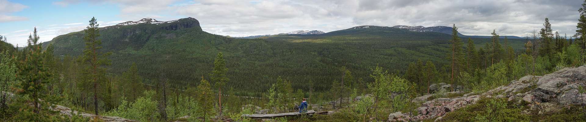 Klik om de knoppen te tonen of te verbergen