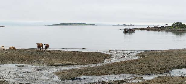 Uitzicht bij Fiskebol