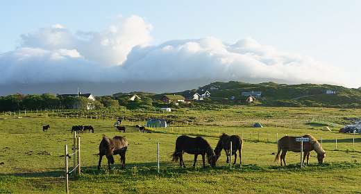 Men kan ook paardrijden in Hov