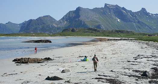 We nemen nu de korste weg terug