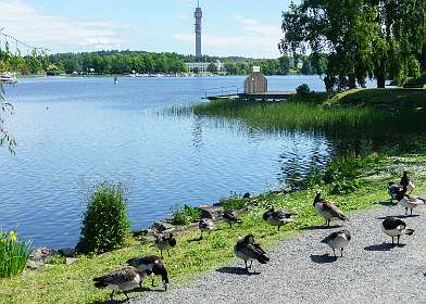 Djurgarden, Stockholm