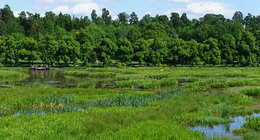 Djurgarden, Stockholm<br>Isbladskärret