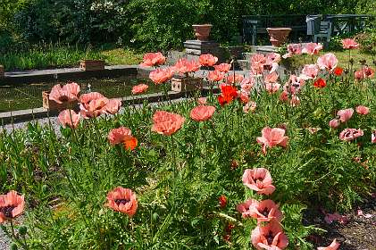 Djurgarden, Stockholm