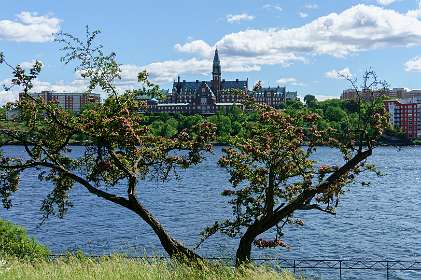 Djurgarden, Stockholm