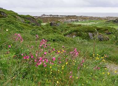 De golfbaan op Gimsoya