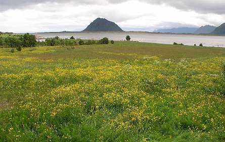 De berg Hoven op Gimsoya vanaf Smedvika