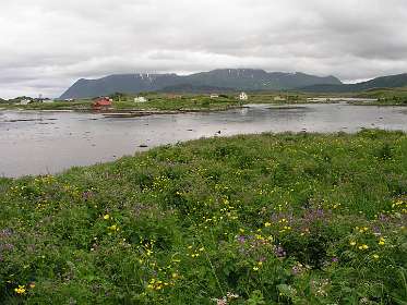 Uitzicht over het Borgpollen?