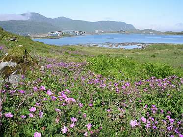 De bruggen over het Torsfjorden bij Fredvang