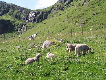De beklimming van de Roren berg bij Ytresand