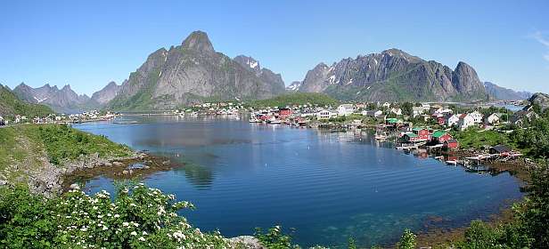 Reine