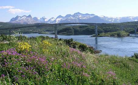 De brug over de Saltstraumen