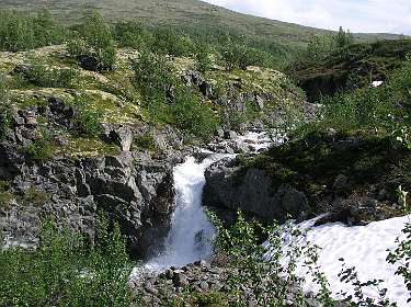 Op de fjell achter de camping bij Hjerkinn