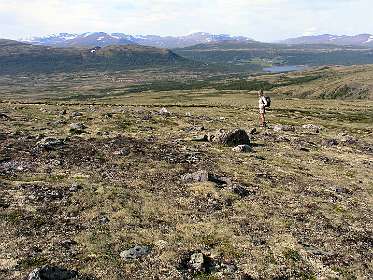Op de fjell achter de camping bij Hjerkinn, in de achtergrond de Snøhetta, de hoogste berg in het gebied