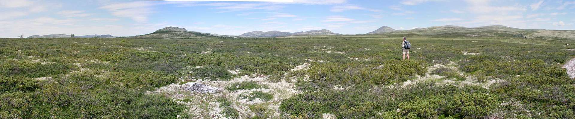 Klik om de knoppen te tonen of te verbergen