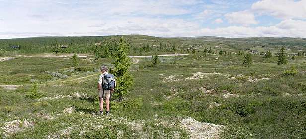 Uitzicht bij Massaplassen in noordelijke richting