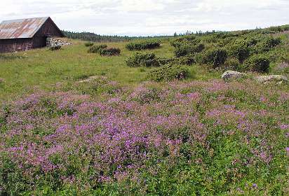 Ten zuiden van Oksendalen
