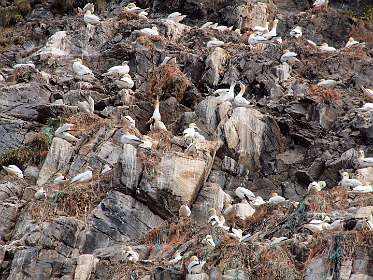 Jan van Genten tussen oude visnetten
