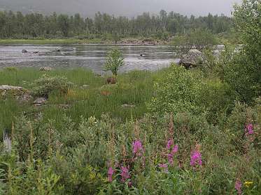 Wandeling rond het Ustedalsfjorden