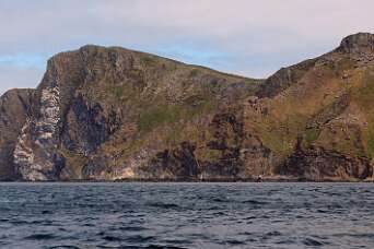 Langs de broedplaatsen per boot en te voet