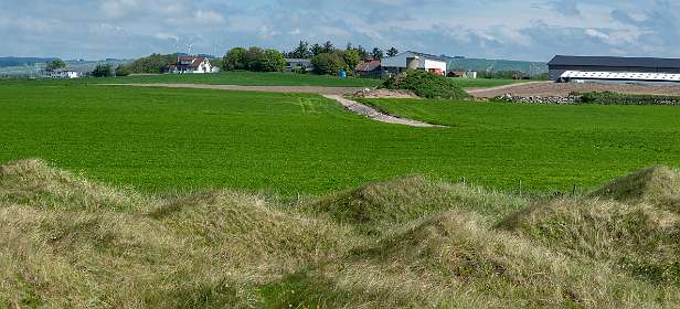 Achter de smalle duin liggen boerderijen
