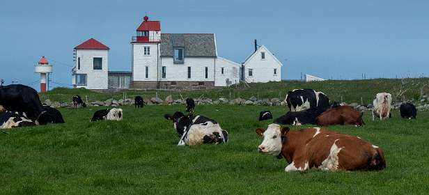 Kvassheim fyr vuurtoren