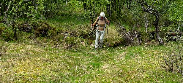Hier moesten we even zoeken naar het goede spoor